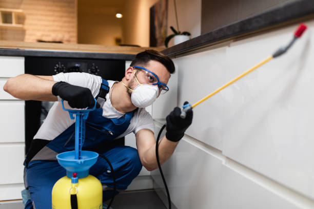 Wildlife Control Services in Menlo Park, CA