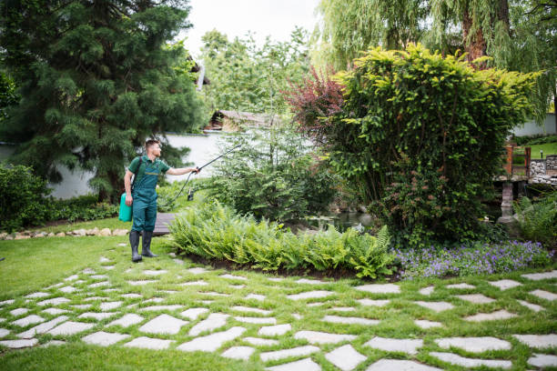 Best Bed Bug Extermination  in Menlo Park, CA