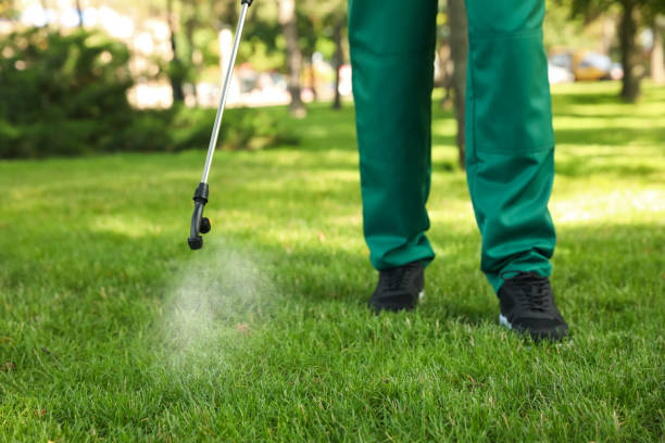 Best Rodent Control Near Me  in Menlo Park, CA