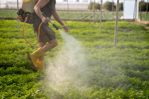 Best Pest Control Near Me  in Menlo Park, CA