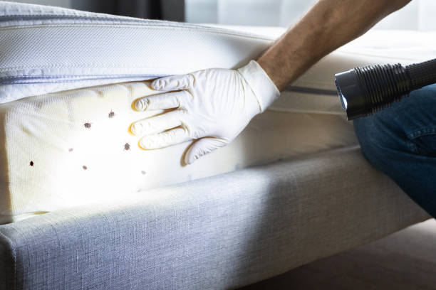 Best Residential Pest Control  in Menlo Park, CA