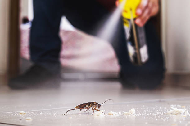 Best Best Pest Control Companies  in Menlo Park, CA