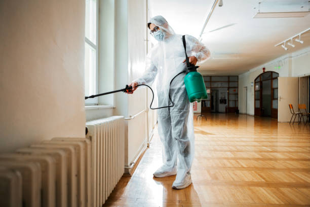 Best Flea Control Services  in Menlo Park, CA